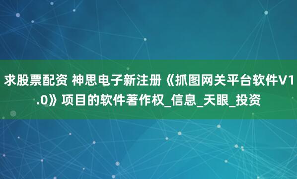 求股票配资 神思电子新注册《抓图网关平台软件V1.0》项目的软件著作权_信息_天眼_投资